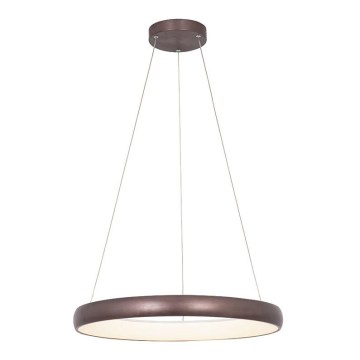 Zambelis 2055 - LED Dimmable chandelier on a string LED/50W/230V d. 60 cm brown