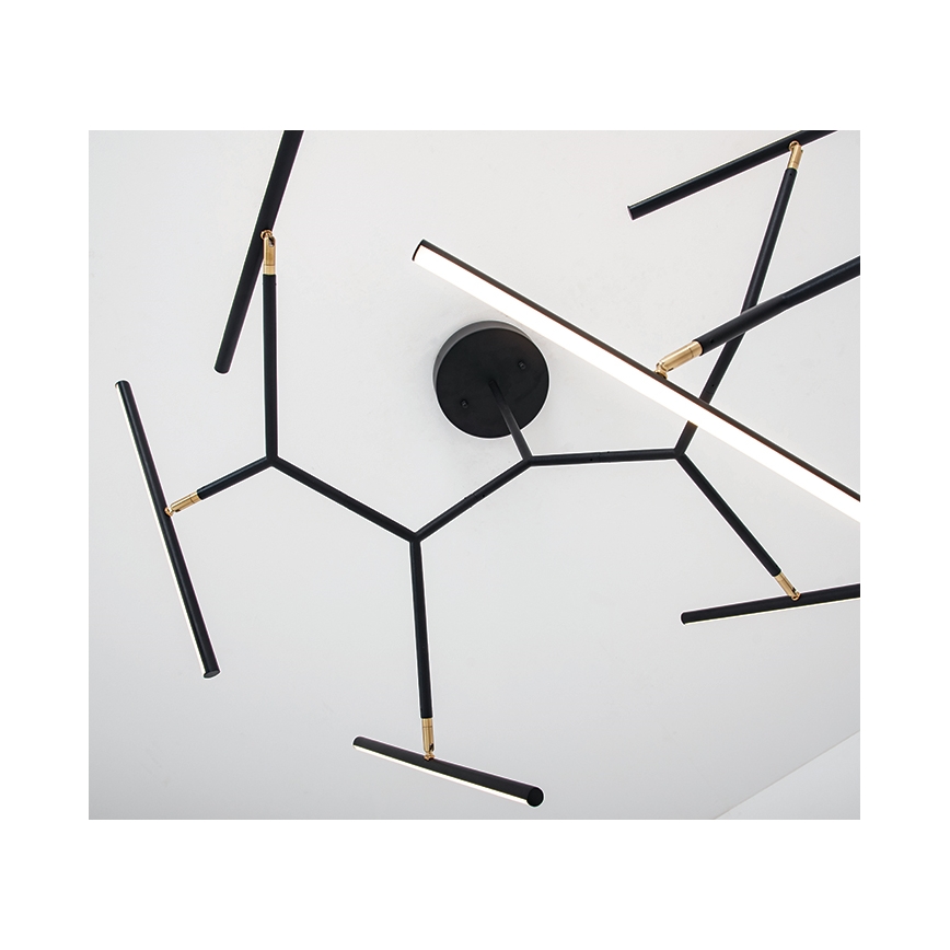 Zambelis 2072 - LED Dimmable chandelier on a pole LED/68W/230V black