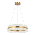 Zambelis 22039 - LED Dimmable chandelier on a string LED/56W/230V gold