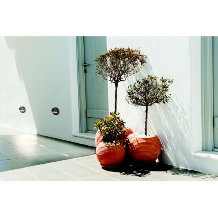Zambelis E294 - LED Outdoor staircase lighting LED/2W/230V IP65 anthracite