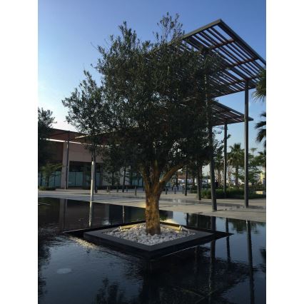 Zambelis E310 - Outdoor lamp 1xGU10/7W/230V IP54