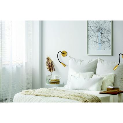 Zambelis H63 - LED Flexible small lamp LED/3W/230V brass