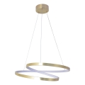 ZEFIRA LED cable pendant lamp, LED/40W/230V, 4000K, diam. 50 cm, gold