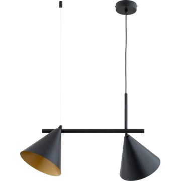 ZELTA Cable Pendant Light 2xE27/15W/230V, Black