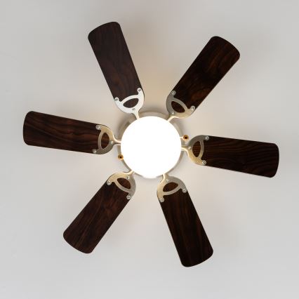 ZEVENTI - Ceiling fan GALDANA 1xE27/60W/230V brown/beige