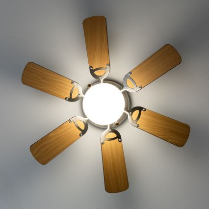 ZEVENTI - Ceiling fan GALDANA 1xE27/60W/230V brown/beige