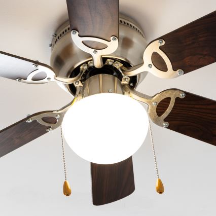 ZEVENTI - Ceiling fan GALDANA 1xE27/60W/230V brown/beige