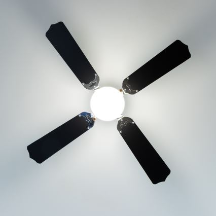 ZEVENTI - Ceiling fan NAVAGIO 1xE27/60W/230V black/white