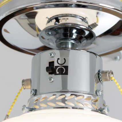 ZEVENTI - Ceiling fan NAVAGIO 1xE27/60W/230V black/white