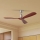 ZEVENTI - LIONI Ceiling Fan with Tuya Wi-Fi, Matte Chrome/Oak + Remote Control