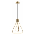 ZING LED Cable Pendant Light, 19W, 230V, Gold