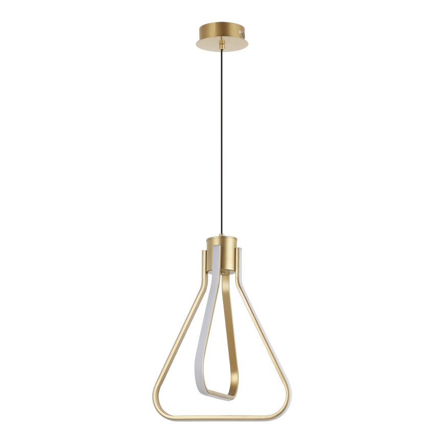 ZING LED Cable Pendant Light, 19W, 230V, Gold