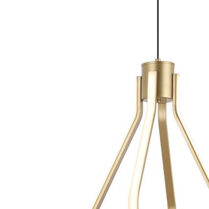 ZING LED Cable Pendant Light, 19W, 230V, Gold