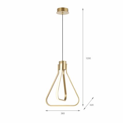 ZING LED Cable Pendant Light, 19W, 230V, Gold