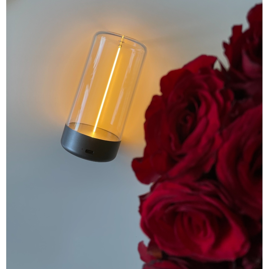 Zuma Line - LED Dimmable rechargeable table lamp LED/0,5W/230V black IP54