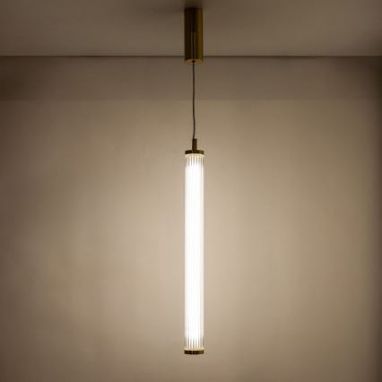 Zuma Line - Dimmable LED pendant light on cable LED/26W/230V 2700–6500K gold + remote control
