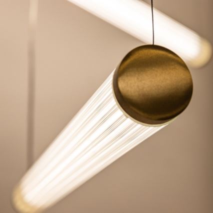 Zuma Line - Dimmable LED cable pendant light LED/64W/230V 2700-6500K gold + remote control