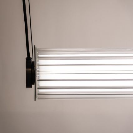 Zuma Line - Dimmable LED pendant light on cable LED/39W/230V 2700-6500K Black + Remote Control