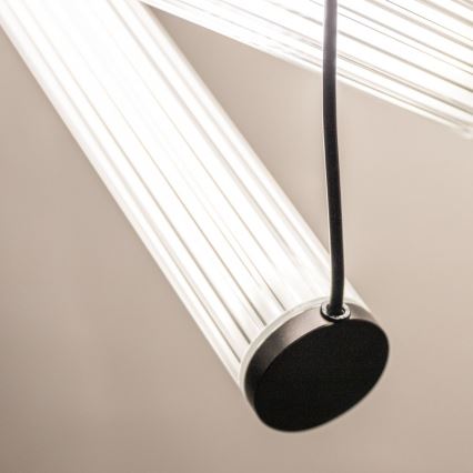 Zuma Line - LED Dimmable Cable Pendant Light LED/64W/230V 2700-6500K Black + Remote Control