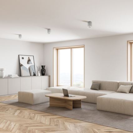 Zuma Line - Dimmable LED RGBW spotlight 1xGU10/6W/230V white + remote control