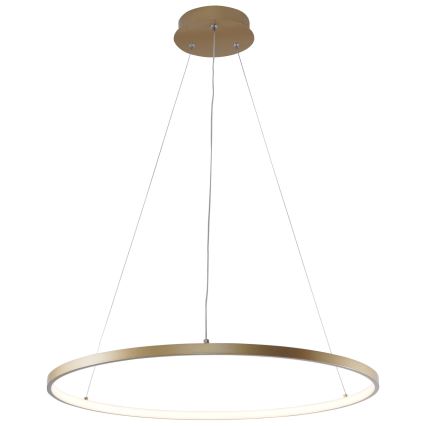 Zuma Line - LED Chandelier on a string LED/28W/230V 3000/4000/6000K d. 60 cm gold