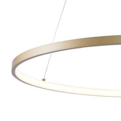 Zuma Line - LED Chandelier on a string LED/28W/230V 3000/4000/6000K d. 60 cm gold