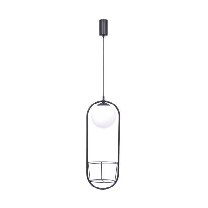 Zuma Line - Chandelier on a string 1xE14/40W/230V black