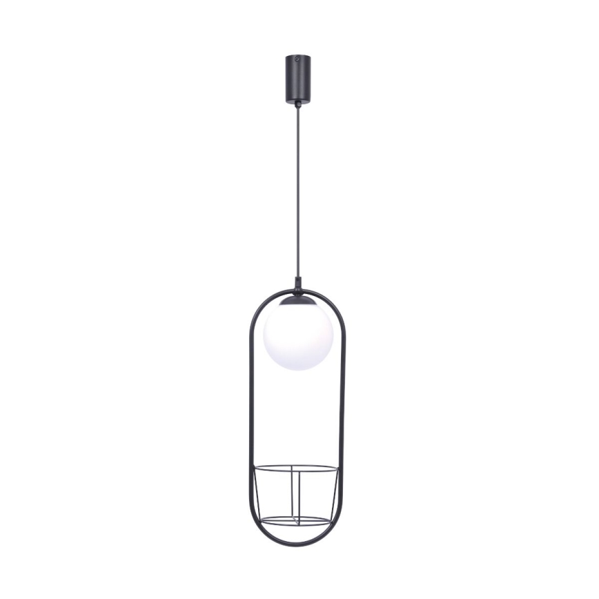 Zuma Line - Chandelier on a string 1xE14/40W/230V black