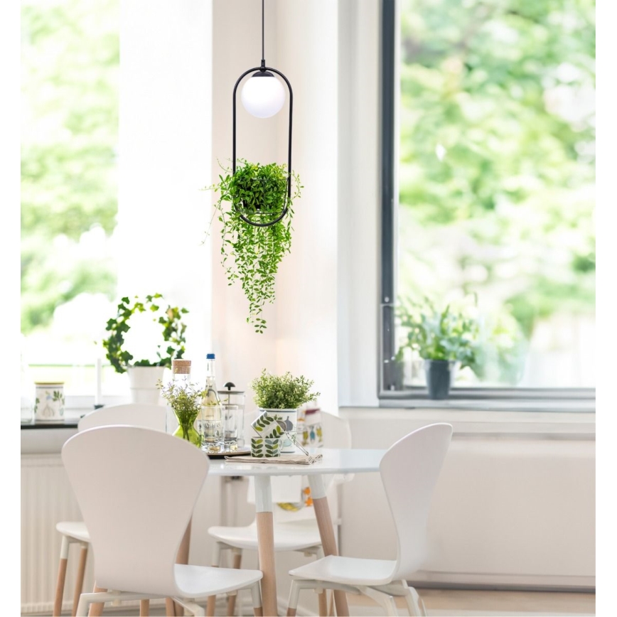 Zuma Line - Chandelier on a string 1xE14/40W/230V black