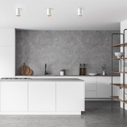 Zuma Line - LED RGBW Dimmable Spotlight 1x GU10/6W/230V White + Remote Control