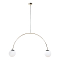 Zuma Line - Cable Pendant Light 2xE14/10W/230V, Gold