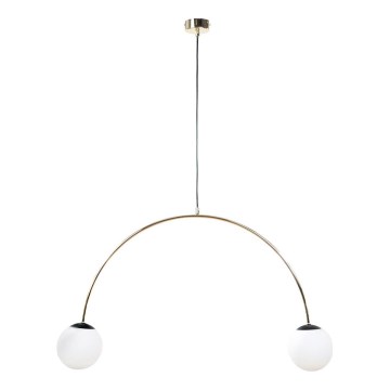 Zuma Line - Cable Pendant Light 2xE14/10W/230V, Gold