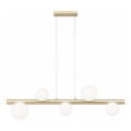 Zuma Line - Cable-Suspended Chandelier 5xG9/33W/230V Gold