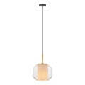 Zuma Line - Cable-suspended pendant light 1xE27/25W/230V Ø 22 cm gold/black