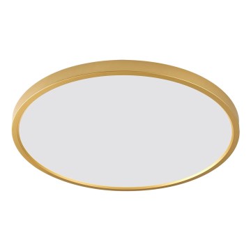 Zuma Line - CAMI LED ceiling light LED/36W/230V selectable 3000/4000/6000K Ø40 cm gold
