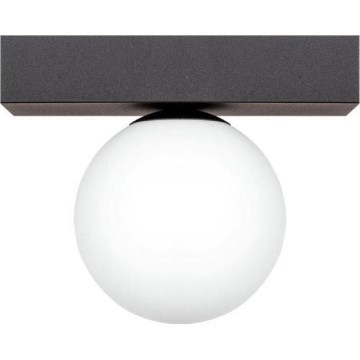 Zuma Line - Ceiling light 1xG9/8W/230V black