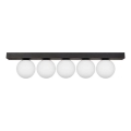 Zuma Line - Ceiling light 5xG9/8W/230V black
