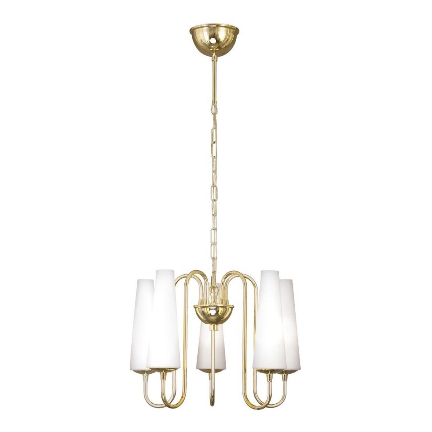 Zuma Line - Chandelier on a chain 5xE14/40W/230V gold
