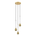 Zuma Line - Chandelier on a string 3xG9/6W/230V brass