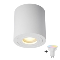 Zuma Line - Dimmable LED RGBW Bathroom Spotlight 1x GU10/4,8W/230V, IP44, White + Remote Control