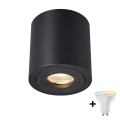 Zuma Line - Dimmable LED RGBW Bathroom Spotlight 1xGU10/4,8W/230V IP44, Black + Remote Control