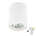 Zuma Line - Dimmable LED RGBW spotlight 1xGU10/4,8W/230V white + remote control