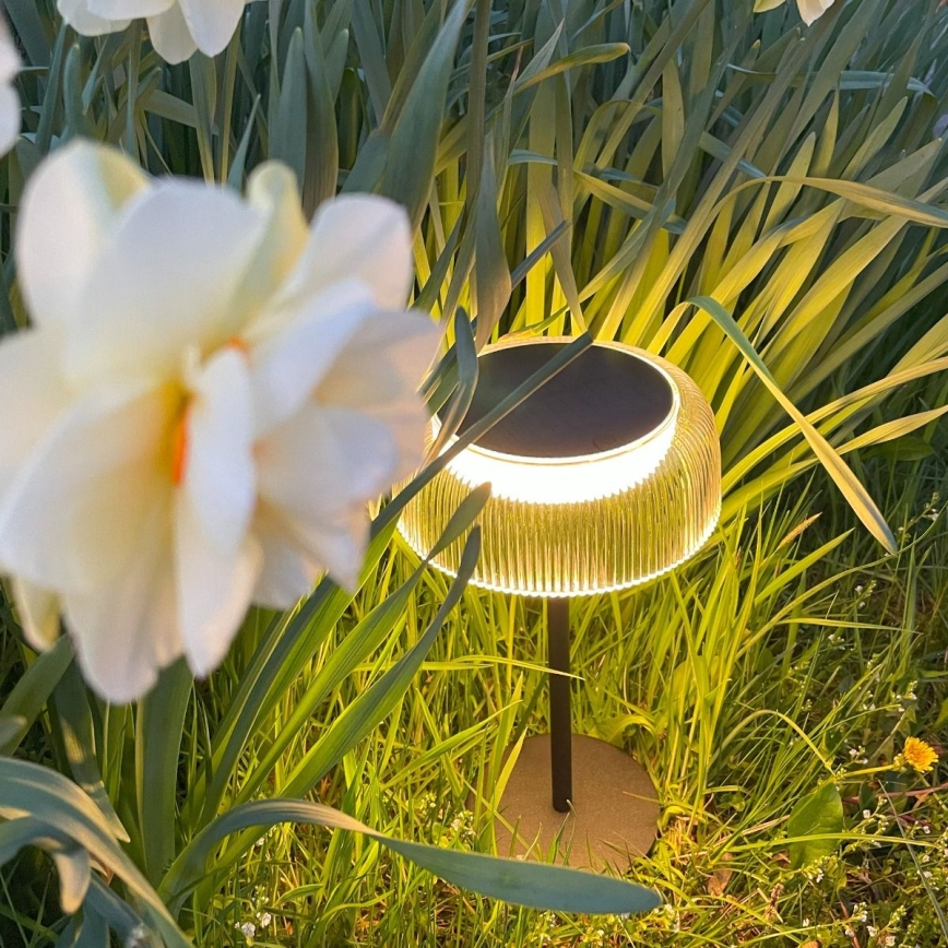 Zuma Line - LED Dimmable solar rechargeable table lamp LED/2,5W/2000 mAh IP44 black