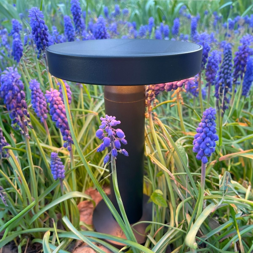 Zuma Line - LED Dimmable solar rechargeable table lamp LED/2W/2000 mAh IP44 black