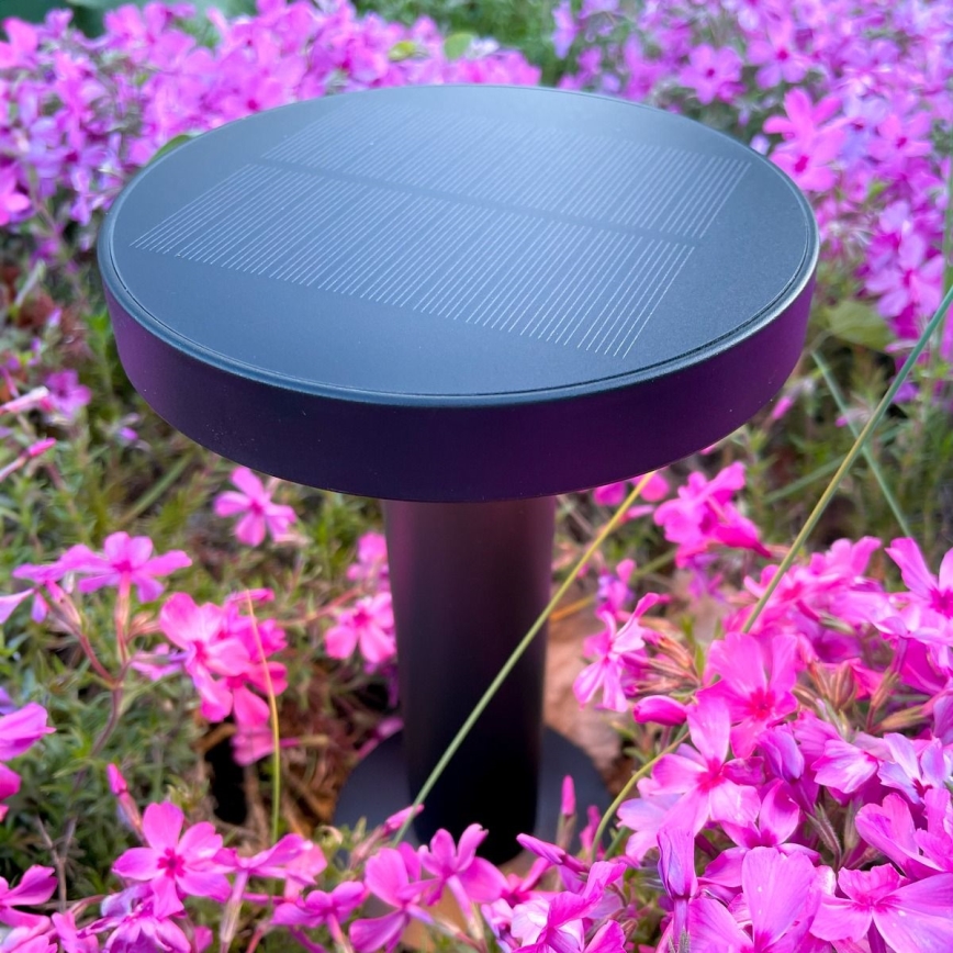 Zuma Line - LED Dimmable solar rechargeable table lamp LED/2W/2000 mAh IP44 black