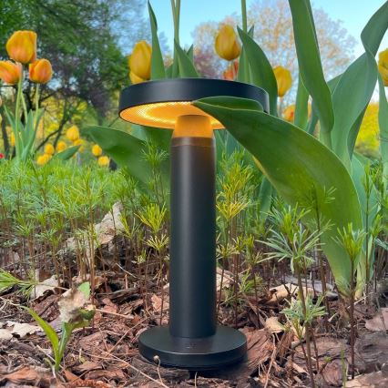 Zuma Line - LED Dimmable solar rechargeable table lamp LED/2W/2000 mAh IP44 black