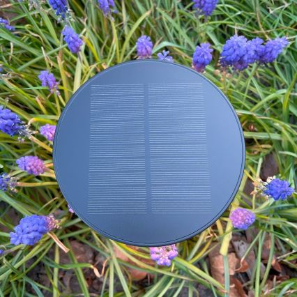 Zuma Line - LED Dimmable solar rechargeable table lamp LED/2W/2000 mAh IP44 black
