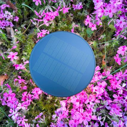 Zuma Line - LED Dimmable solar rechargeable table lamp LED/2W/2000 mAh IP44 black