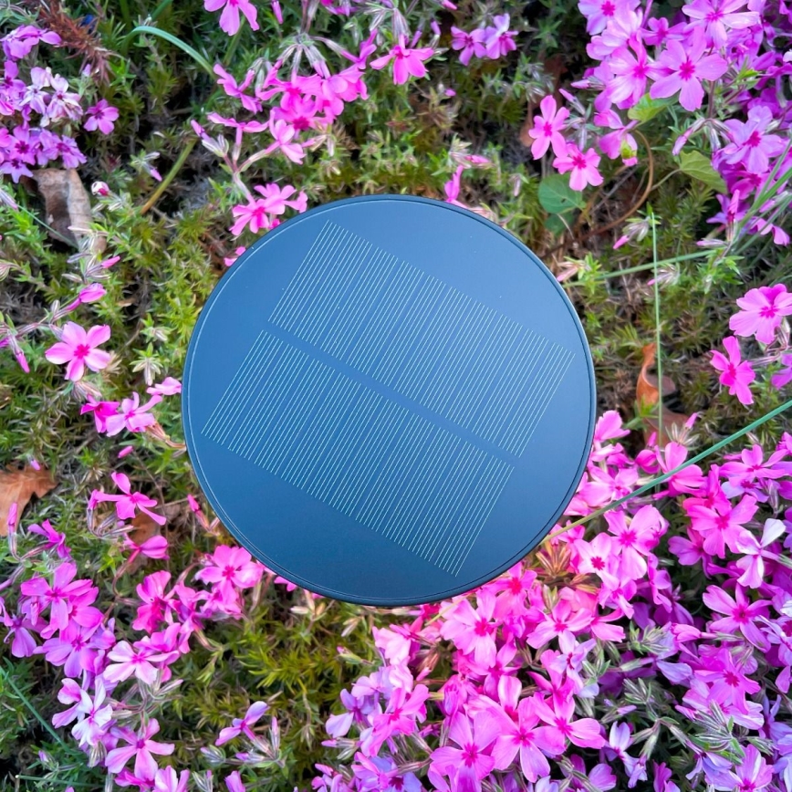 Zuma Line - LED Dimmable solar rechargeable table lamp LED/2W/2000 mAh IP44 black