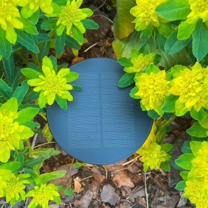 Zuma Line - LED Dimmable solar rechargeable table lamp LED/2W/2000 mAh IP44 black